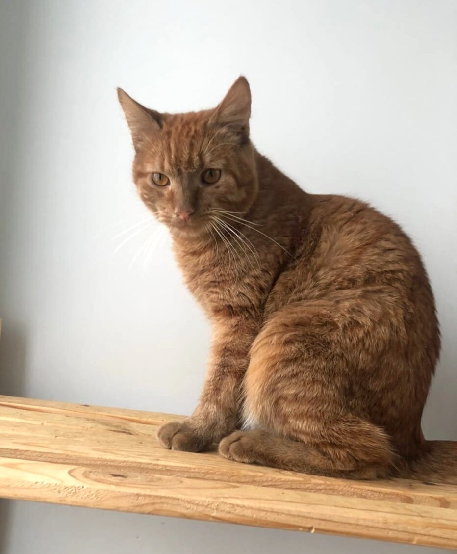 Фото авторов. Арсений