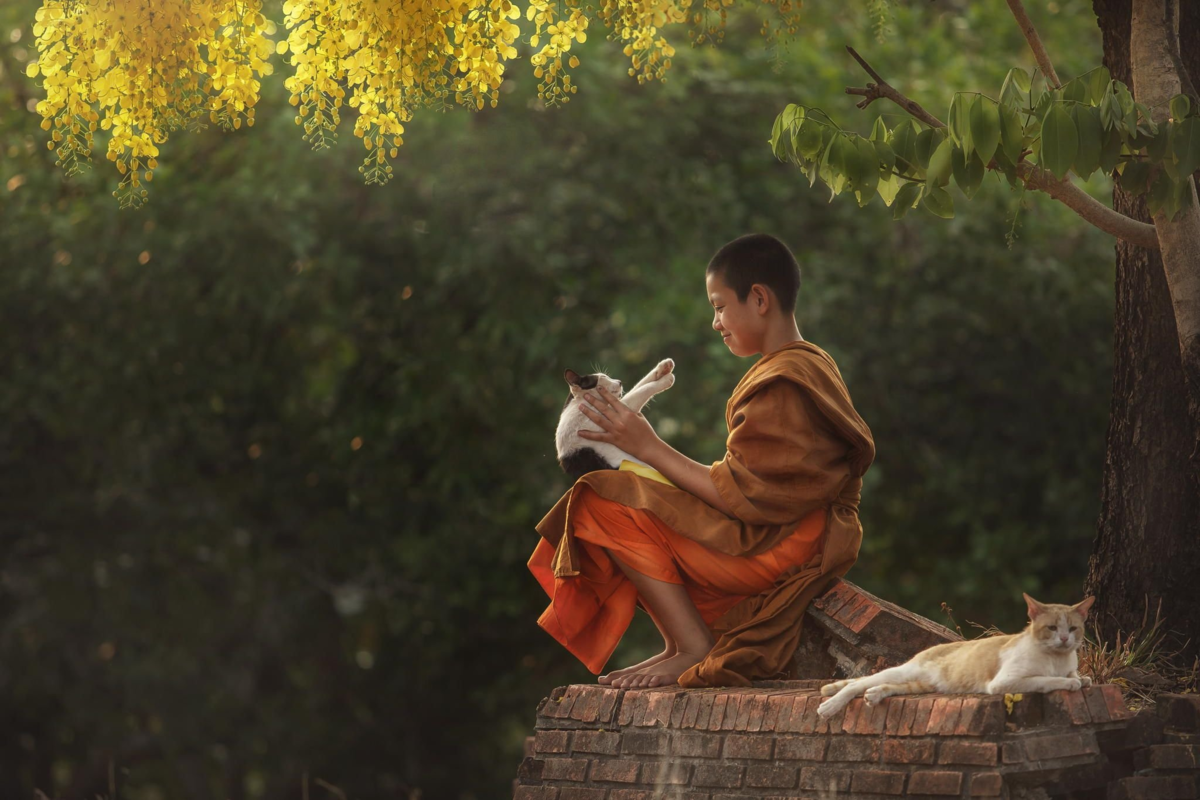 Притча будды. Дзенский монах. Японский буддизм дзен. Дзен буддийский монах. Дзенский монах арт.