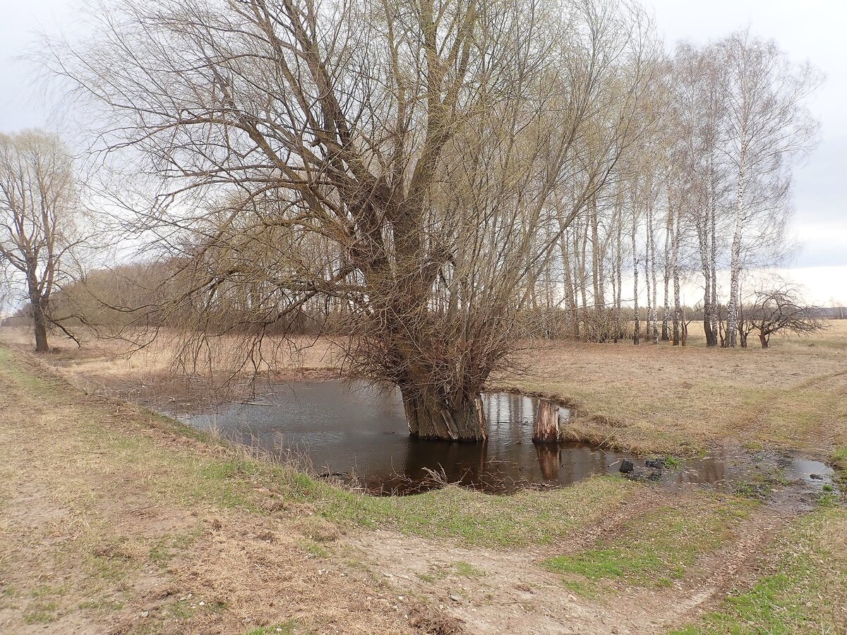 Весна в Чувашии