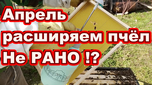 Весенние расширение гнезда пчёл до полного корпуса НЕ РАНО ?! конец апреля , ульи ППС , пчела карника !