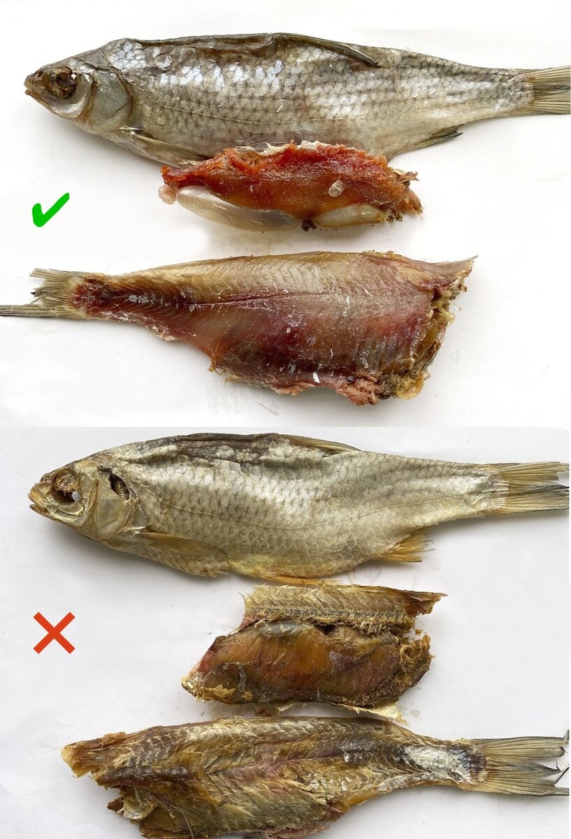 Сверху — вобла «Улова рыбаков», снизу — из обычного магазина