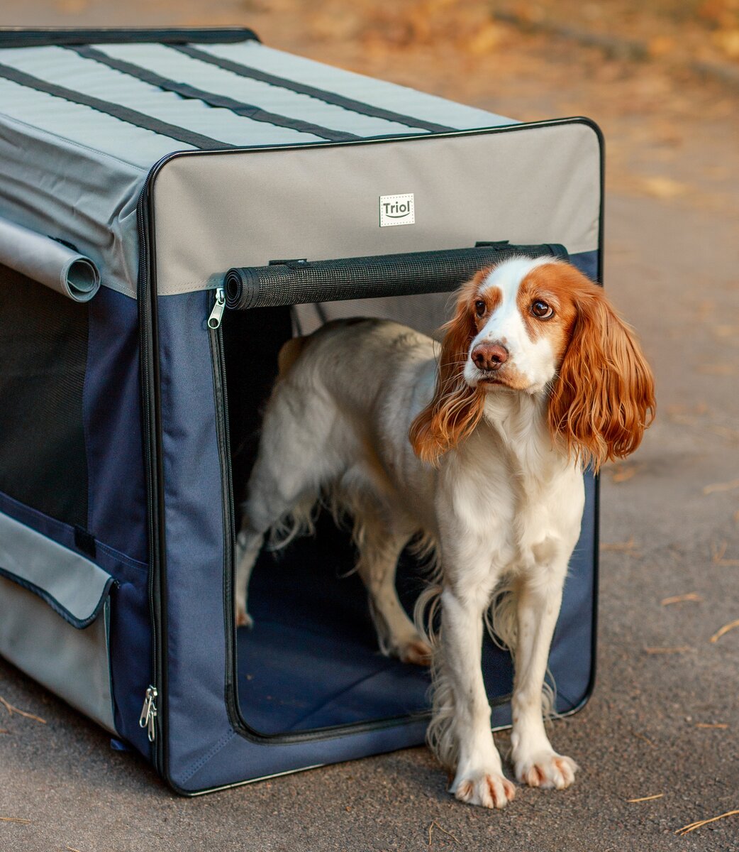 На фото – дом-тент 1047XL TRIOL (арт. 30711012).