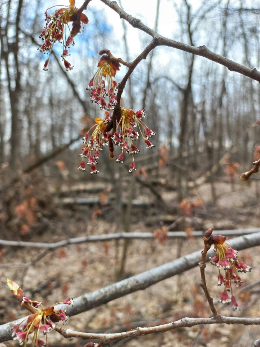 Фото автора.