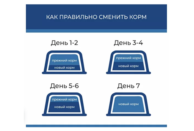 Наконец-то: отечественный беззерновой корм-суперпремиум для наших питомцев