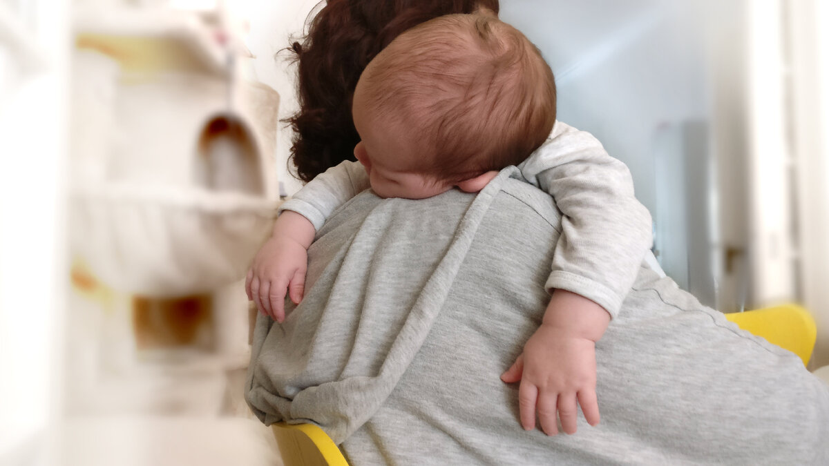 Источник https://www.freestockimages.ru, фото из открытых источников. 