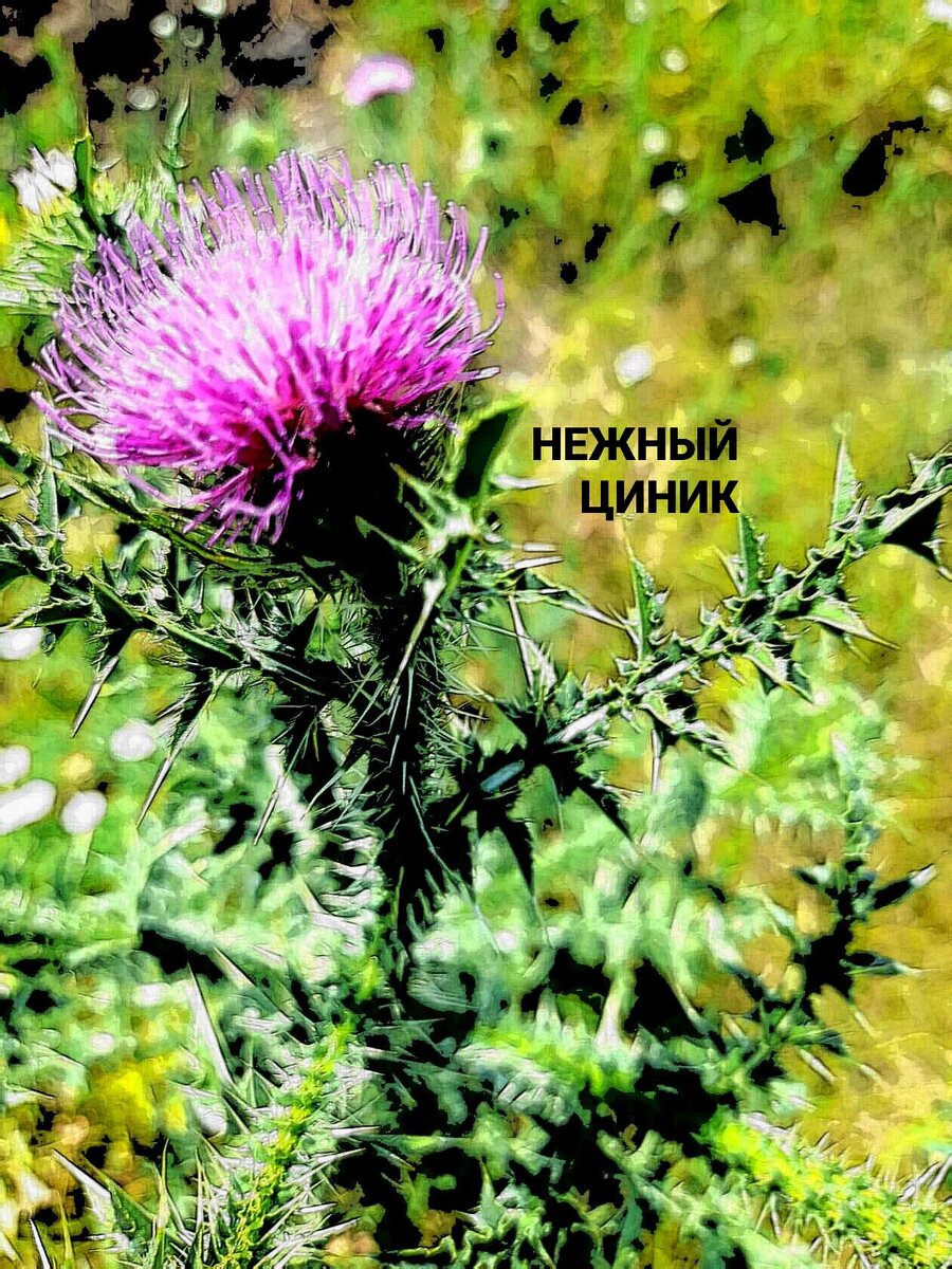 Личное фото