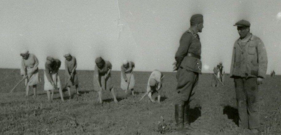 Это Крым "Виртшафт коммандо 105"