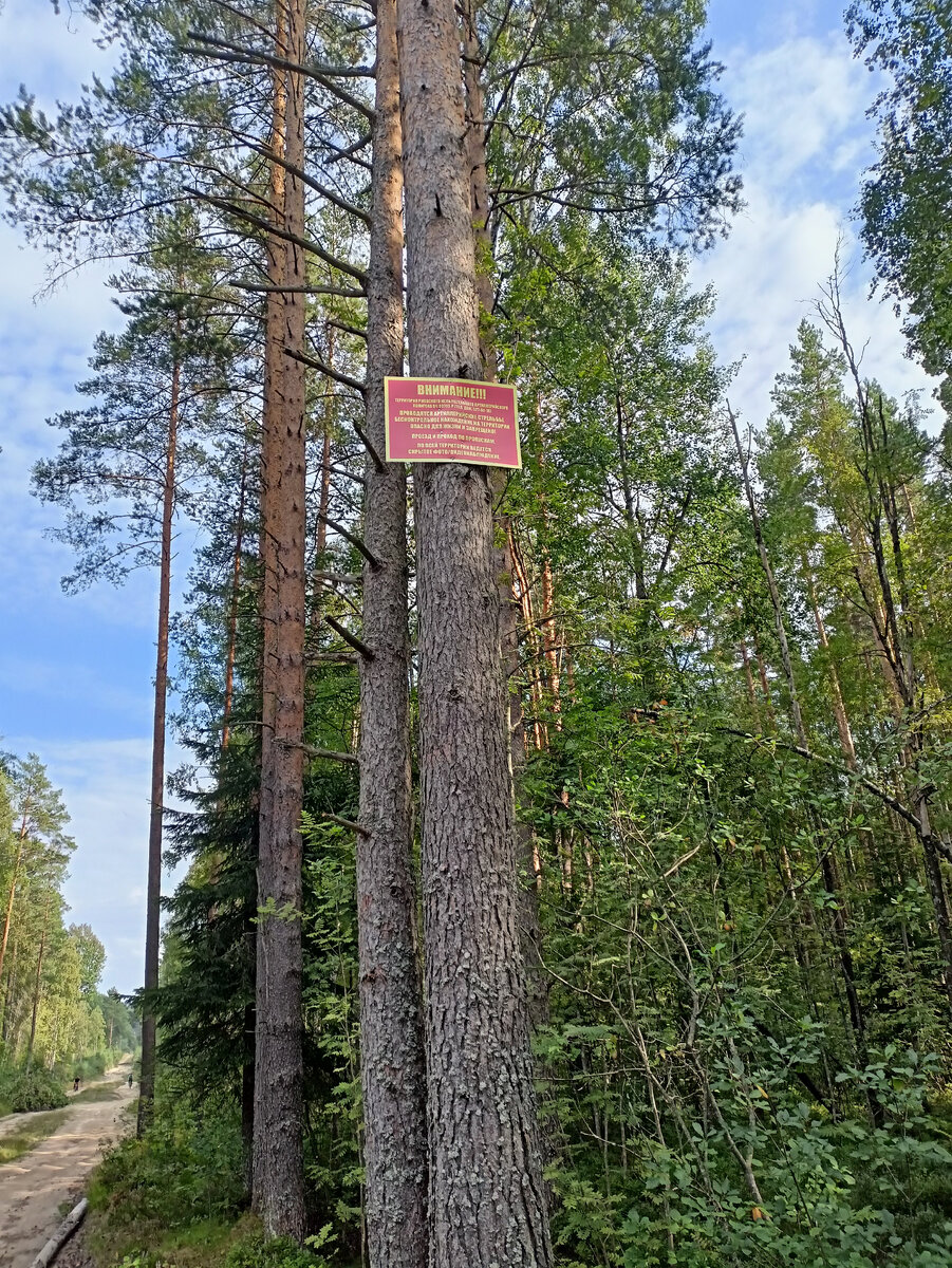 Вот и первое предупреждение.