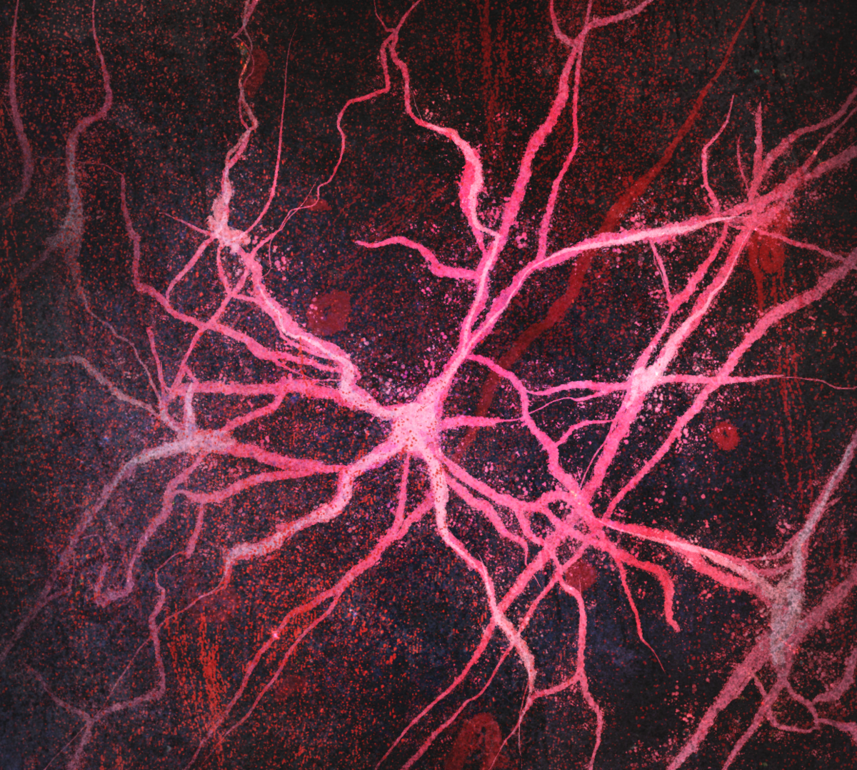 Шальные нейроны мозга от нашей штатной художницы Лены