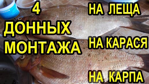 Донная снасть на карася