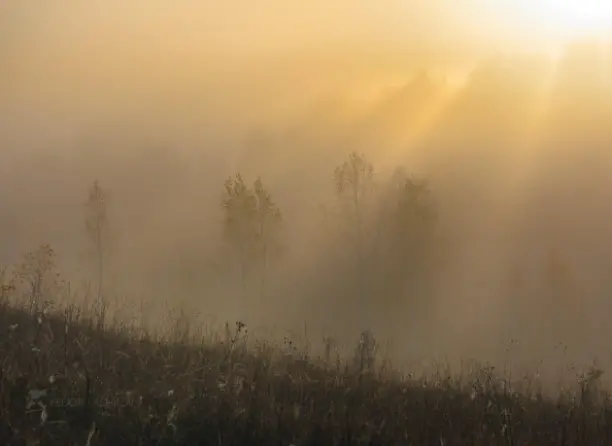 Фото Фёдора Лашкова