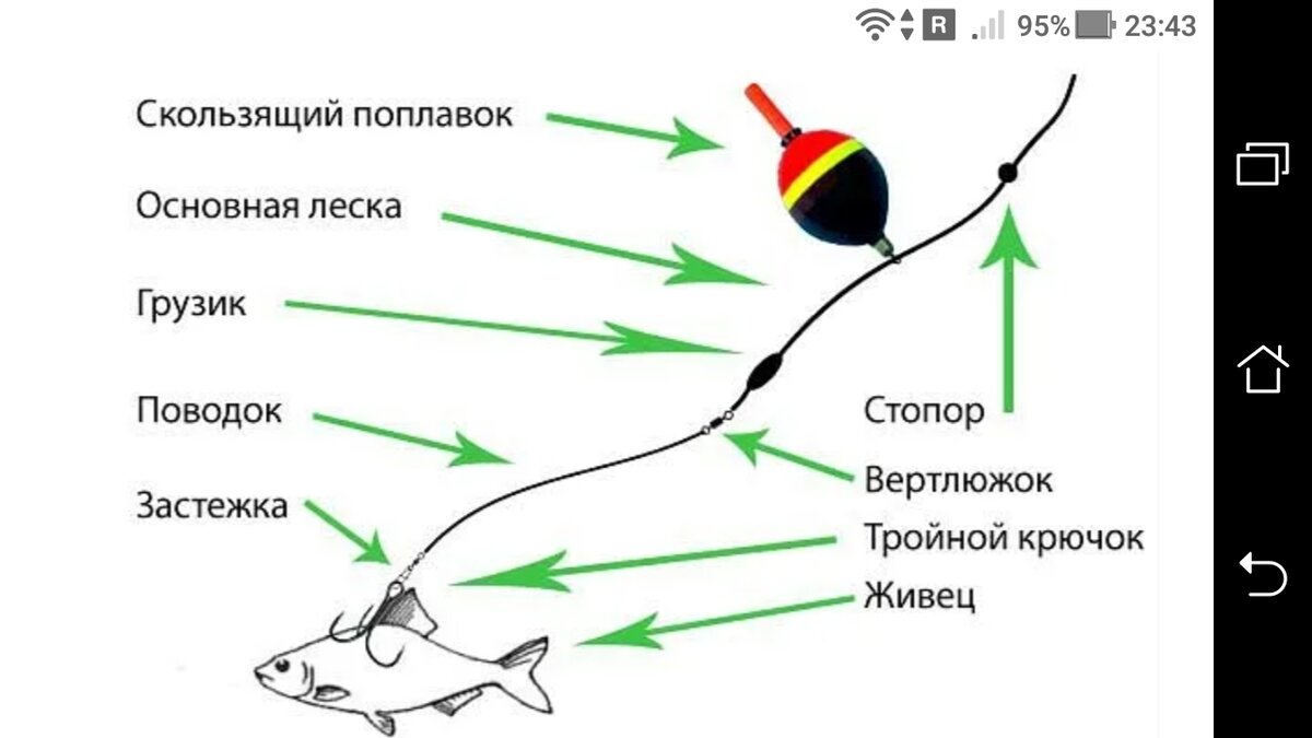 Ловля щуки живцовой удочкой