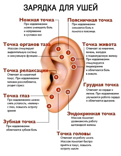 На данной иллюстрации представлены точки с помощью, который можно улучшить состояние своего здоровья.  Это рекомендация, в качестве лечения, лучше обратиться к специалисту. 