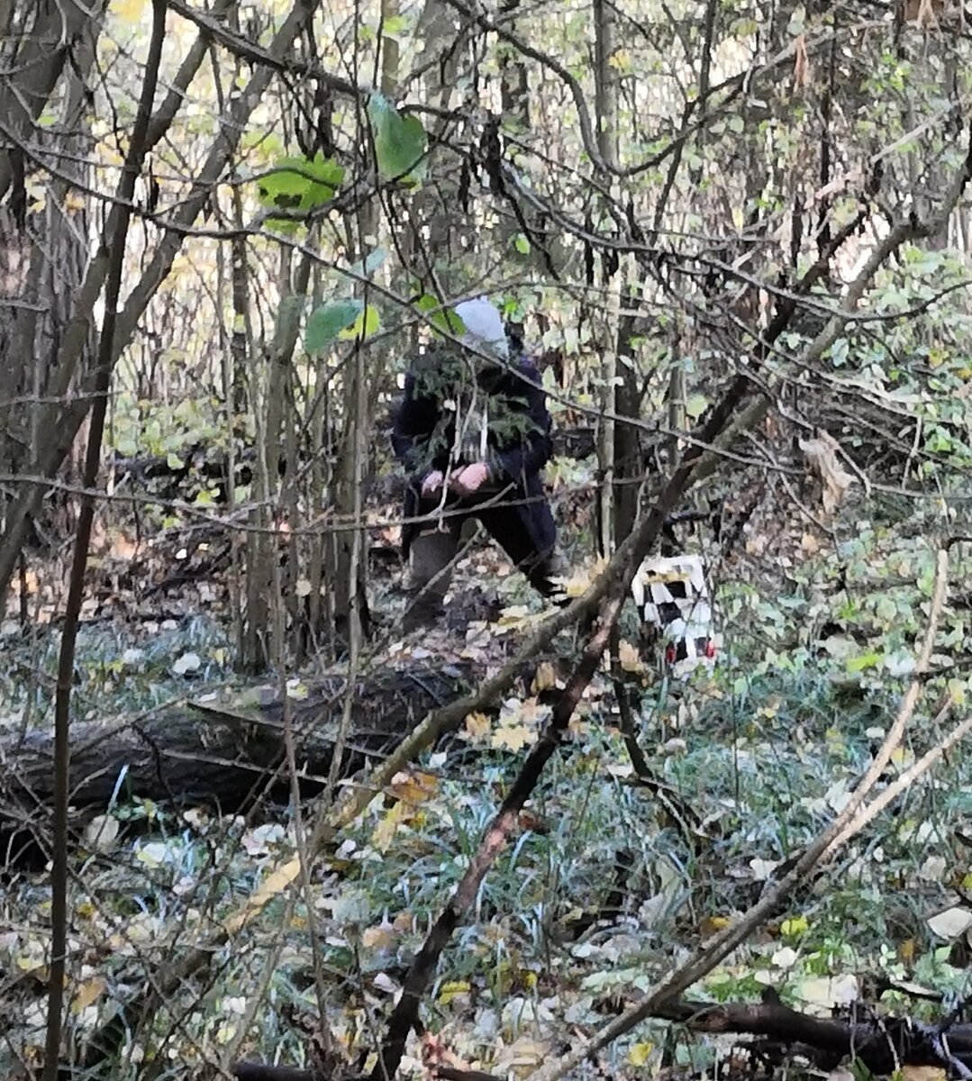 Грибник собирает опята