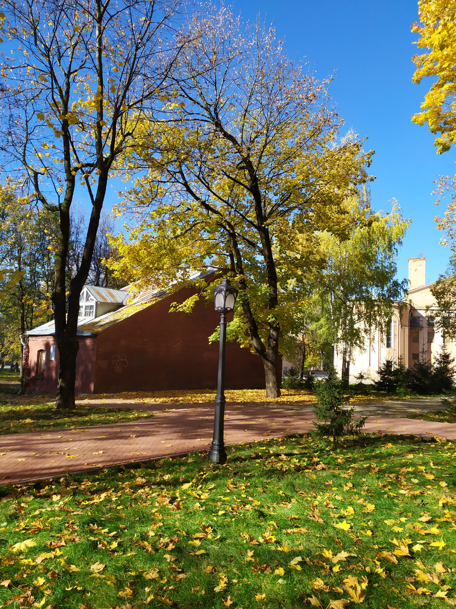 Фонарь среди листьев.