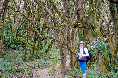 На тропе к Пун Хилу