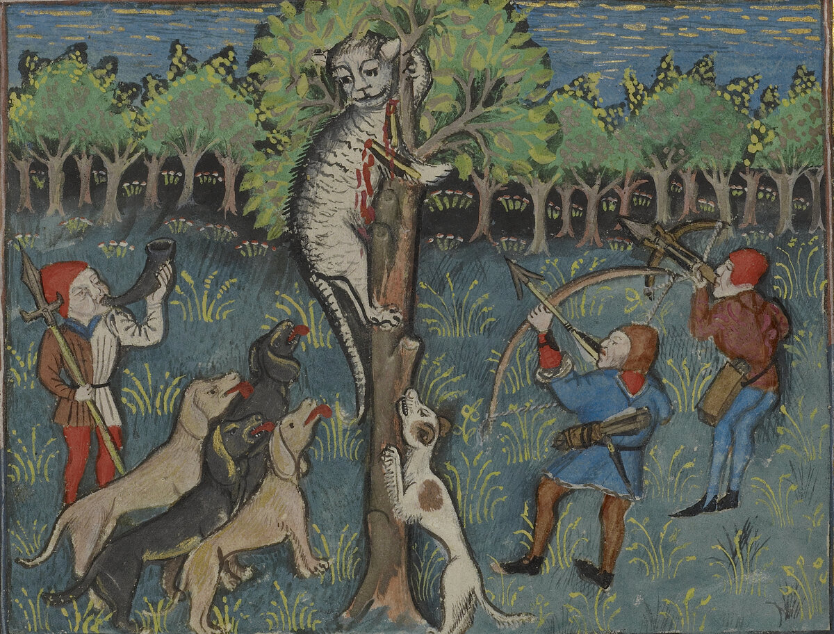 Изображение из открытых источников. Охота на кошку