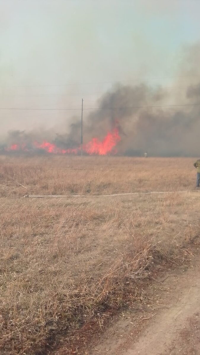 Фото из чата ватсап