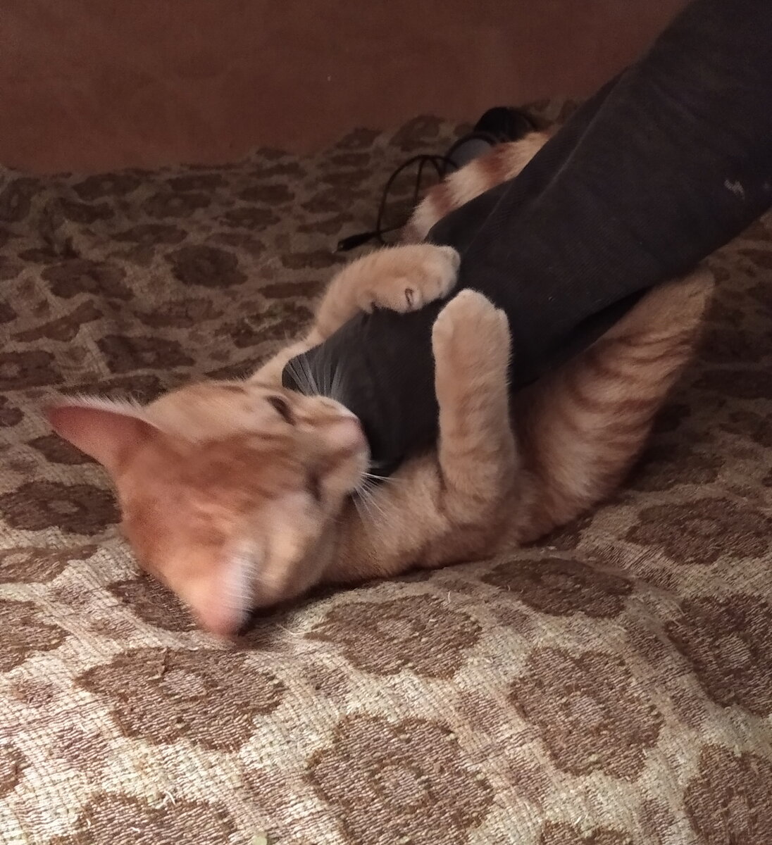 Личное фото.