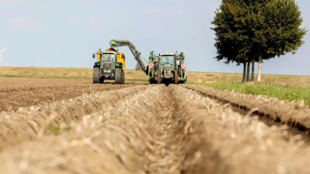 Фото:www.nieuweoogst.nl