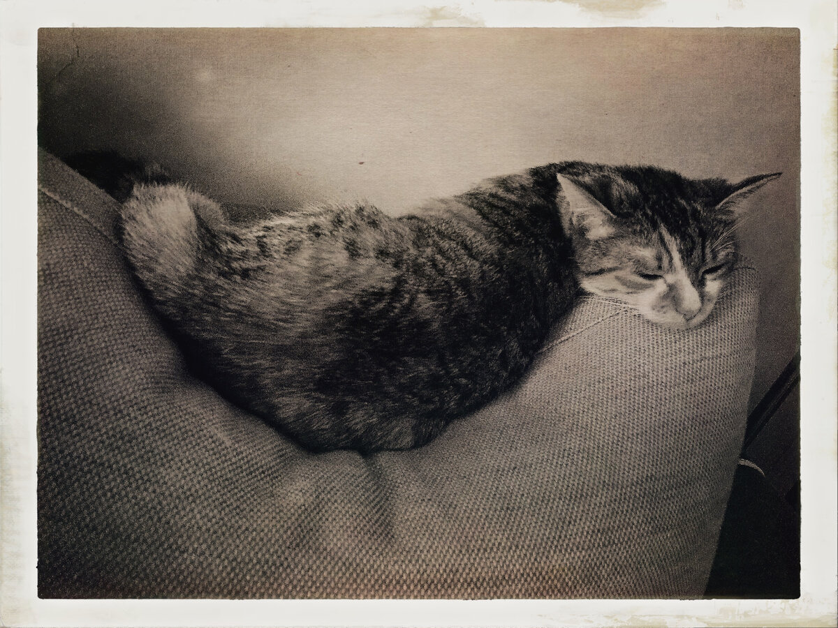 Ссылка на источник: https://pxhere.com/ru/photo/1401221