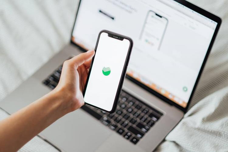    Источник изображения: nikkimeel / Shutterstock / FOTODOM