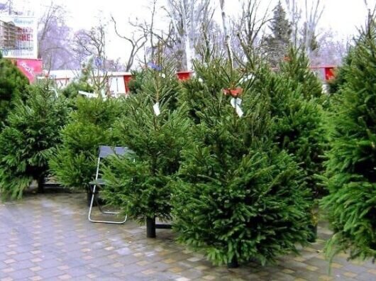    ://t.me/logvinenko_rnd