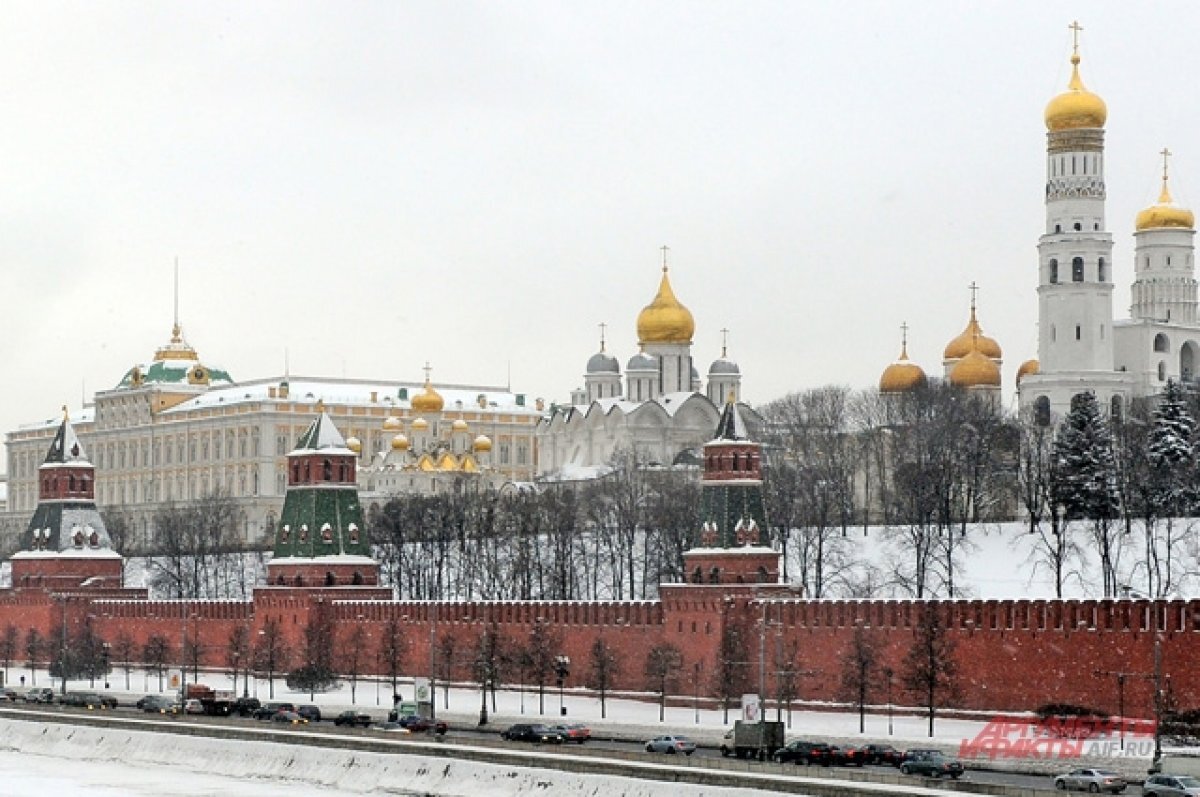    Главную новогоднюю елку России нашли школьники в Подмосковье