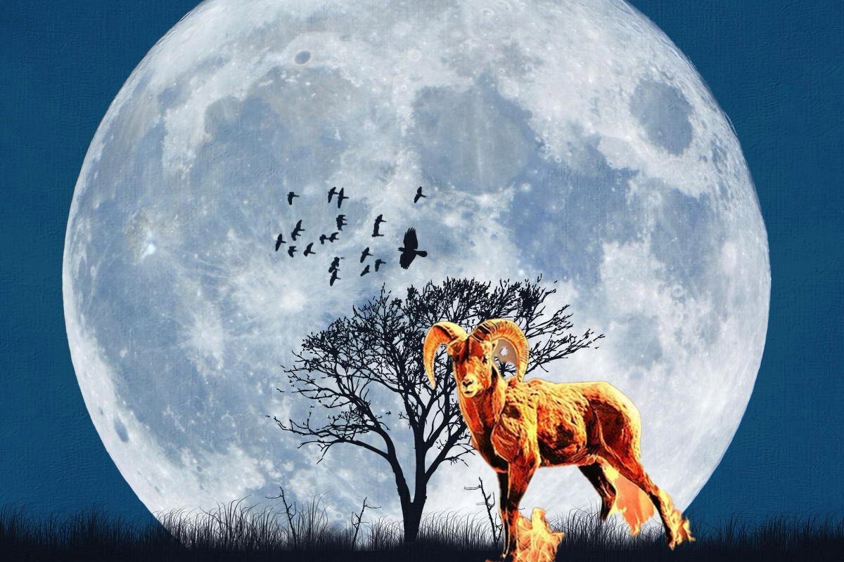 Яндекс Картинки