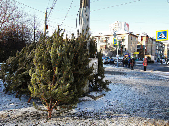     Фото: Олег Каргаполов.