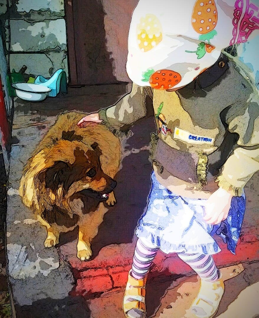 Приучаю не бояться собак