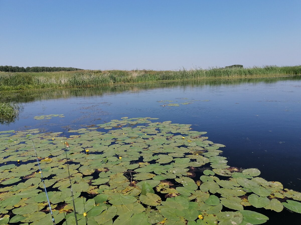 Все фото в статье автора.