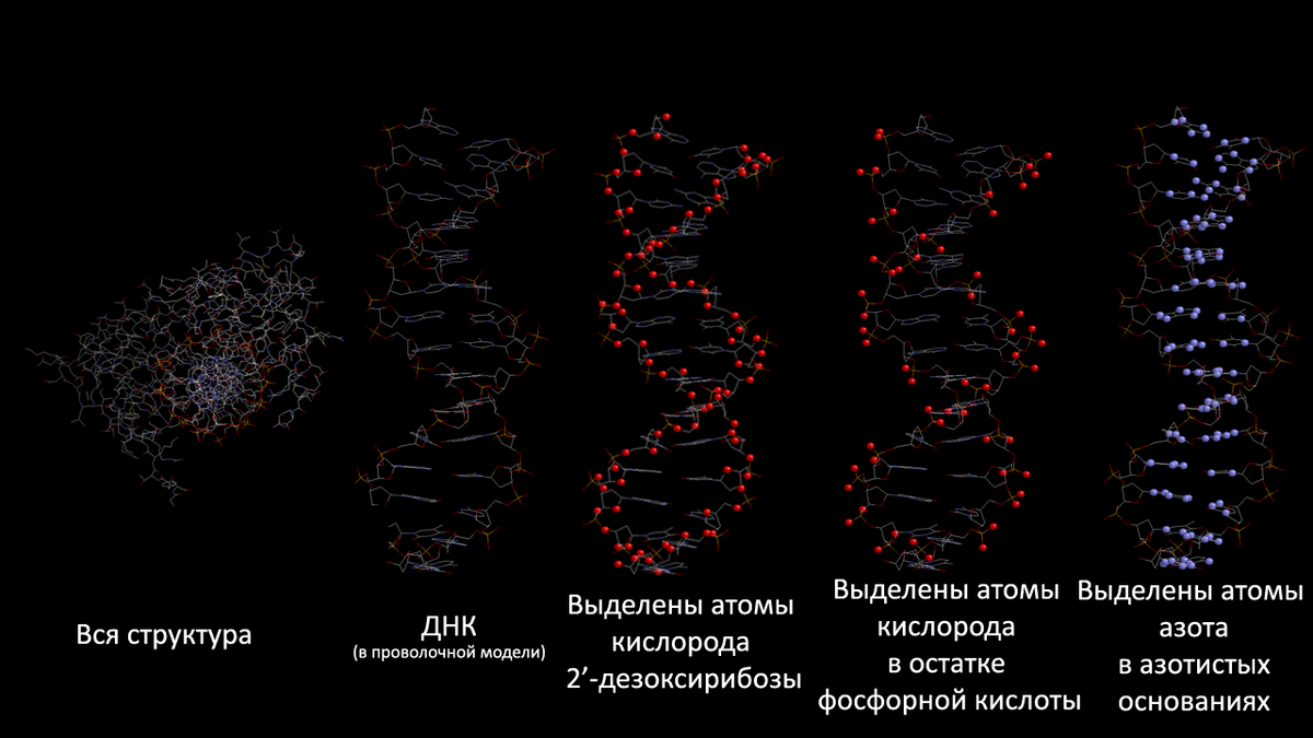 О чем говорит днк волоса