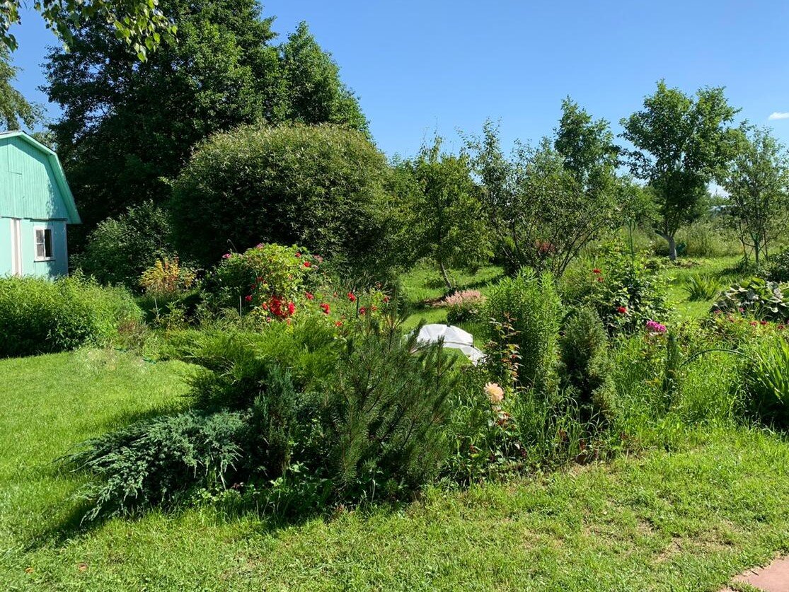 бабушкина дача