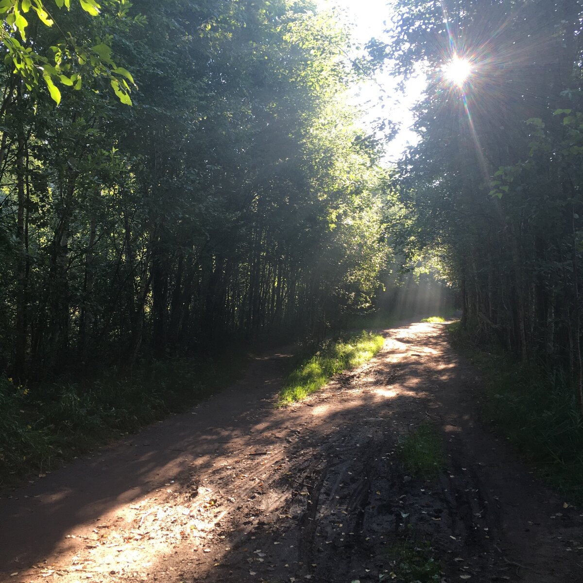 юнтоловский парк в приморском районе