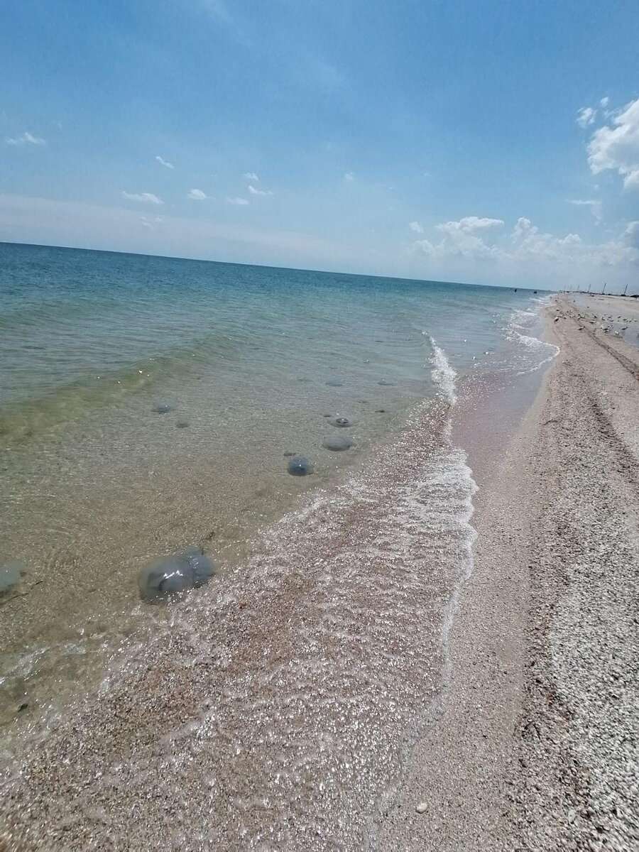 азовское море в украине