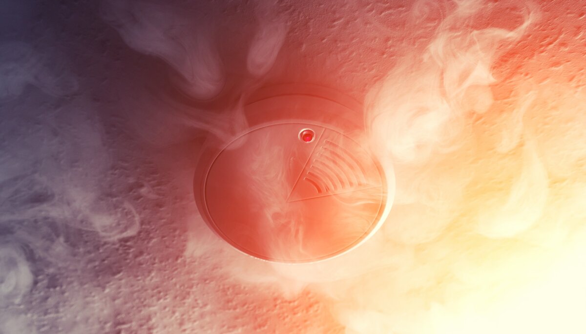 Фото с сайта www.shutterstock.com 