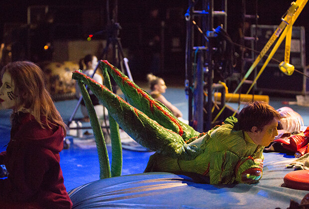 Фото: Cirque du Soleil1/5