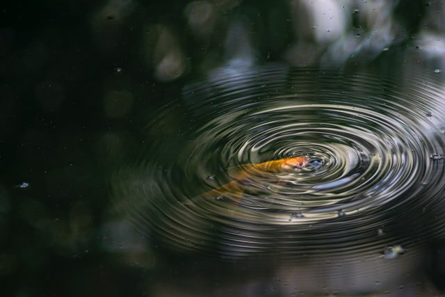 Photo by Jasper Garratt on Unsplash