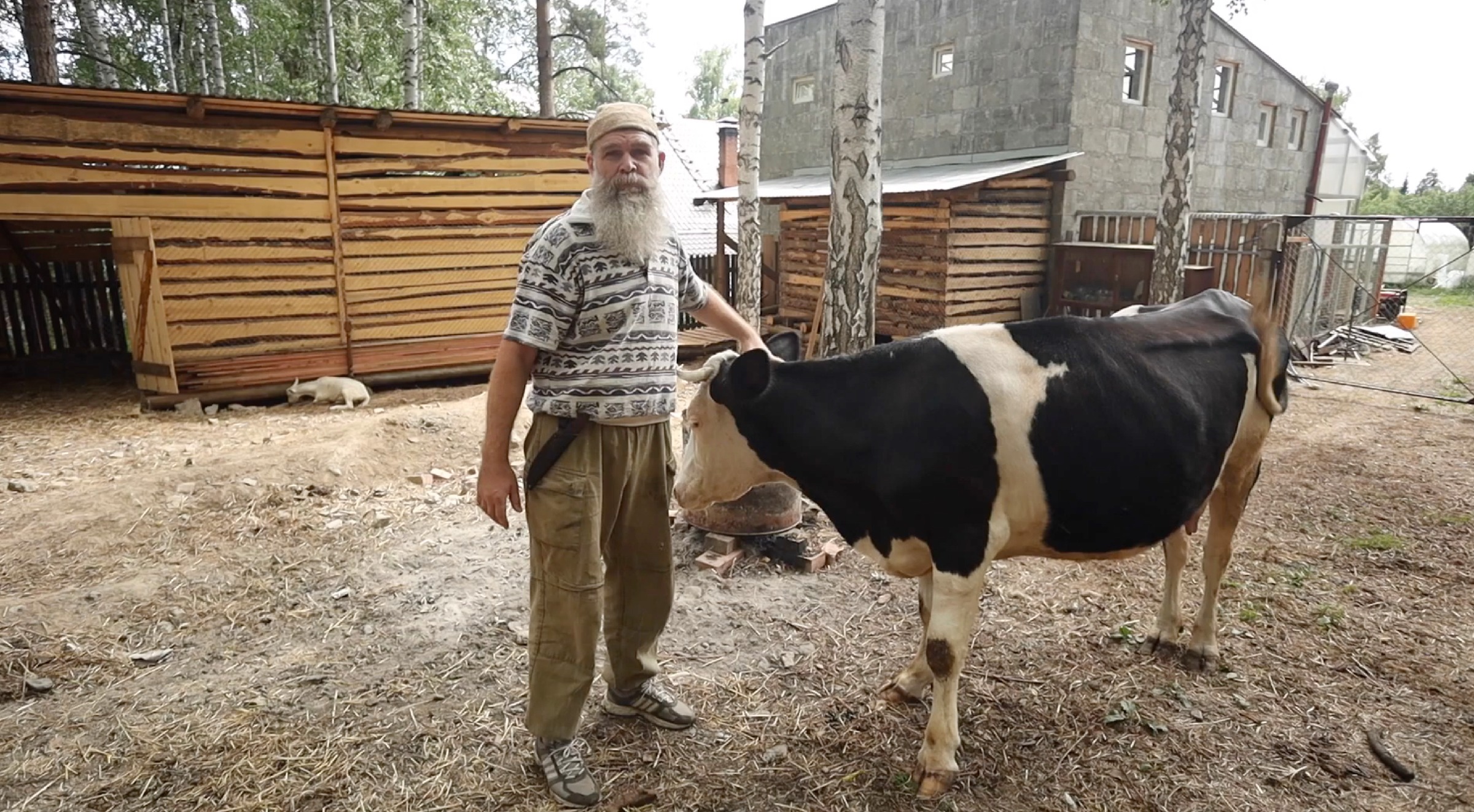 Парник - вегетарий - скотник на солнечной тяге и законах физики | FORUMHOUSE | Дзен