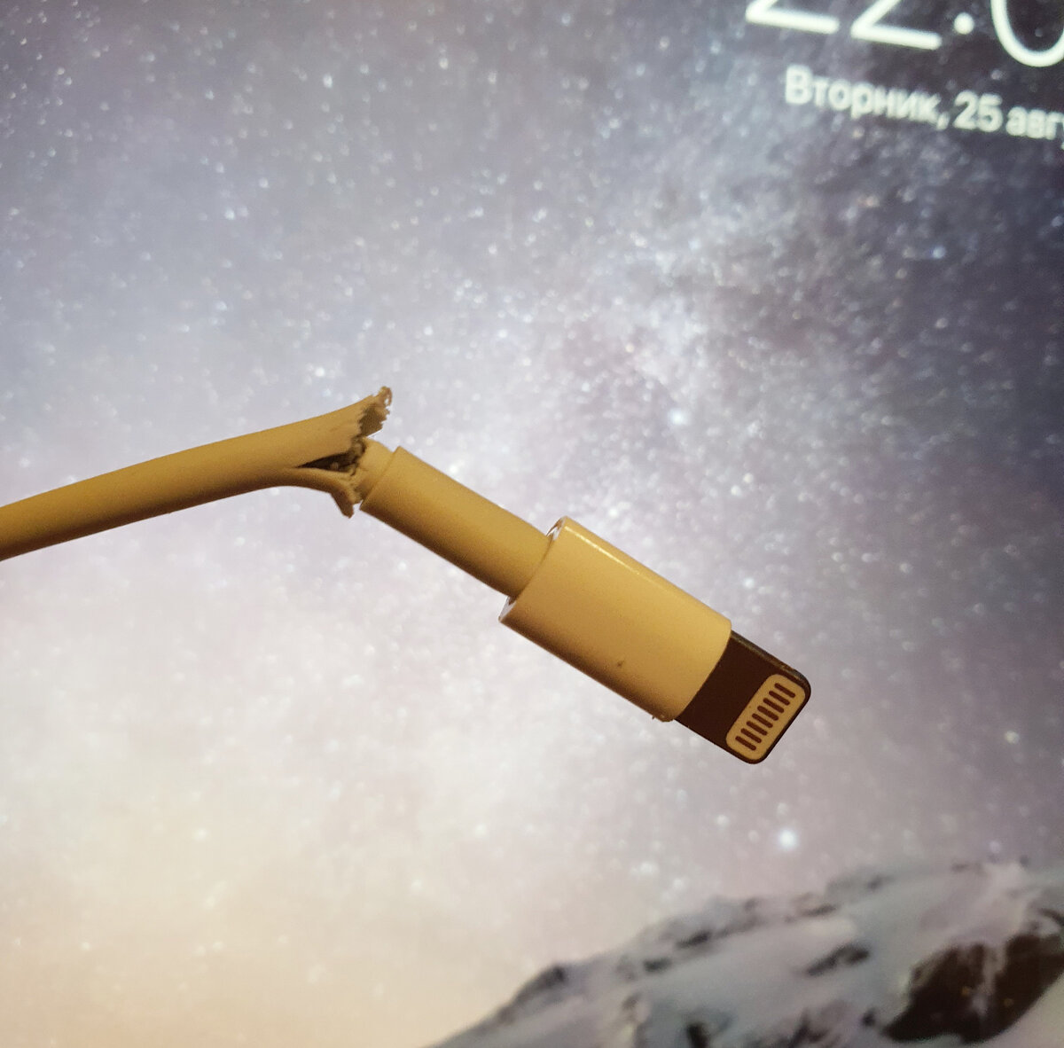 Современное качество совсем не дешевого производителя