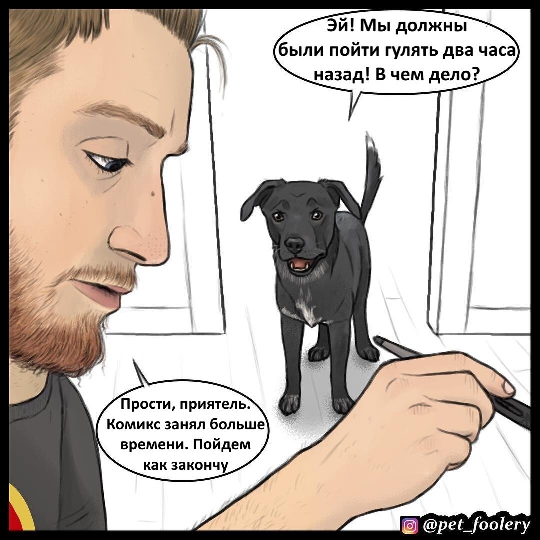 Источник: Инстаграм pet_foolery. Перевод: https://vk.com/pixie_and_brutus