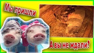 Аватар Деревня Бухалово