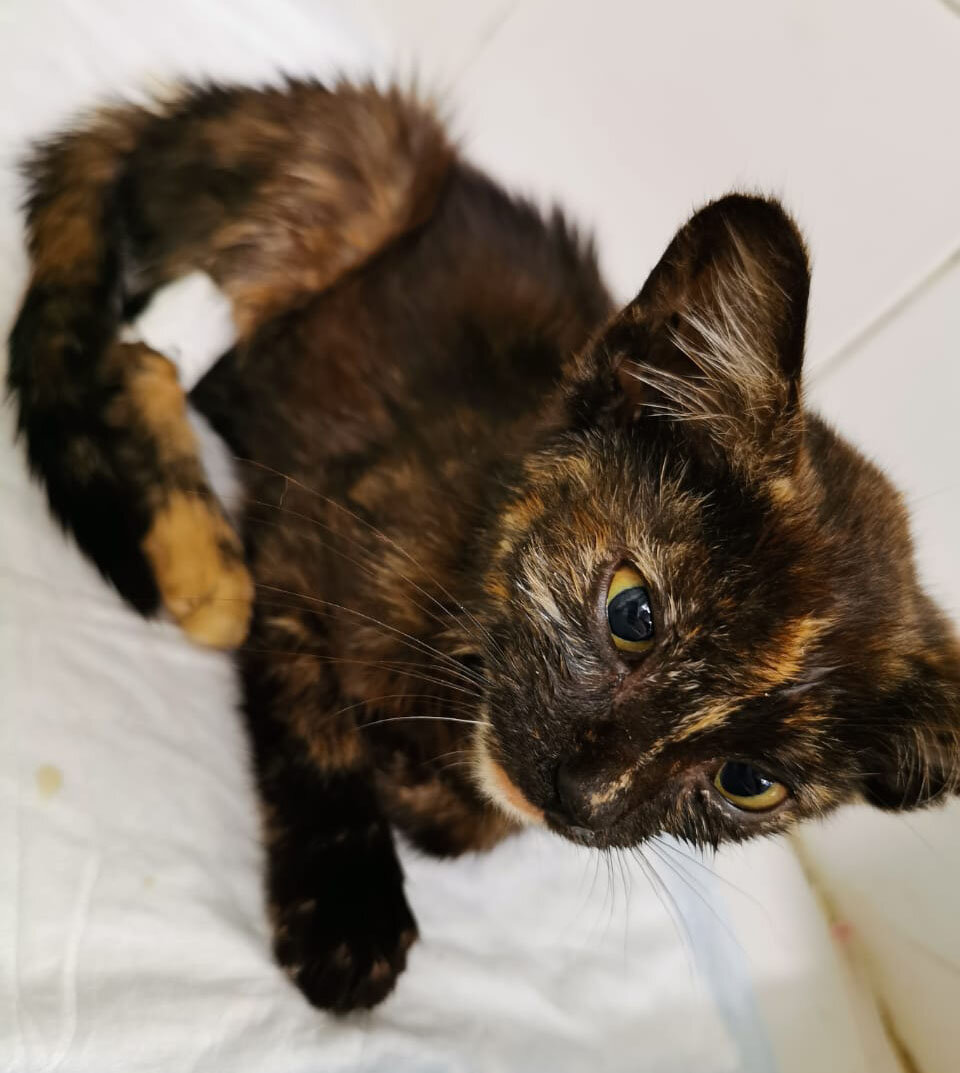 Первые дни в стационаре