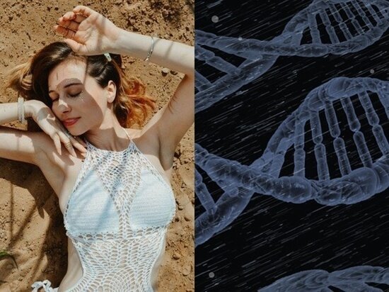 Фото - pixabay.com