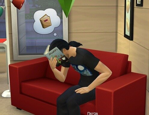 Фотографии взяты из открытых источников 