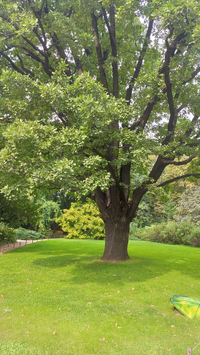 Фото из архива автора