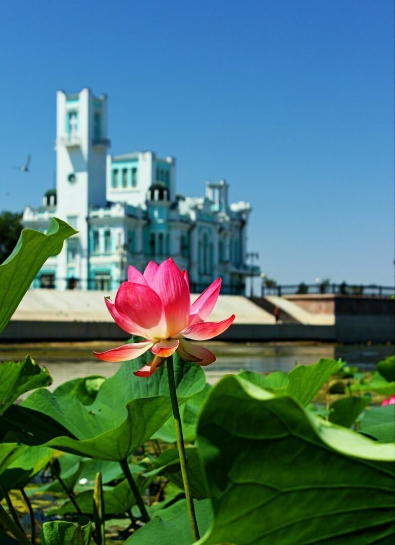 фото из открытого источника