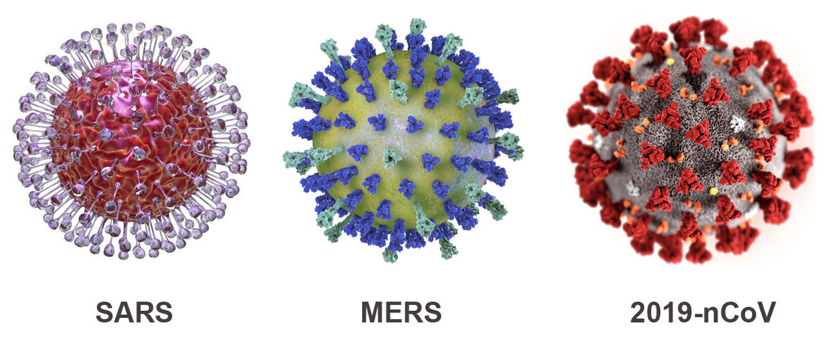 Вирус коронавирус ковид-19. Коронавирус строение вируса. Коронавирус строение Covid 19. SARS-cov-2 Дельта штамм.