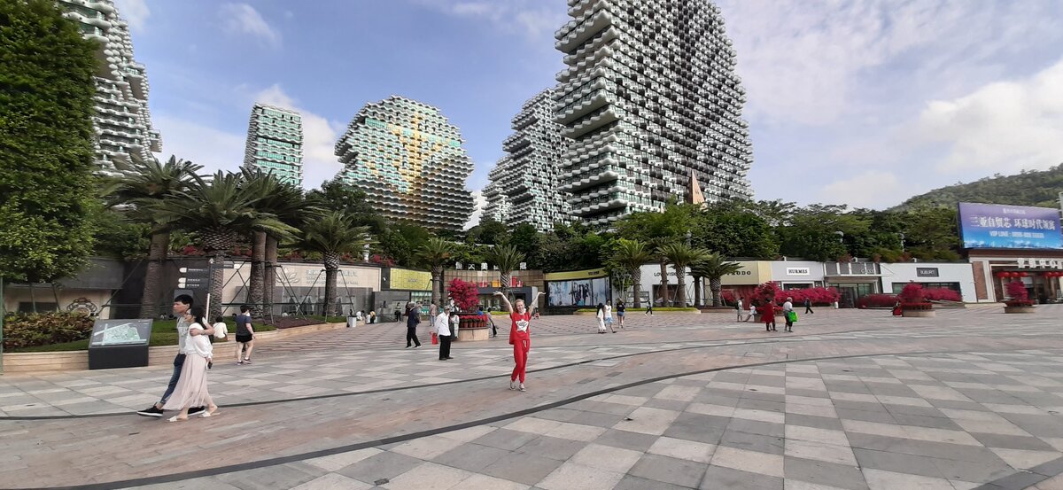 Дома-деревья.